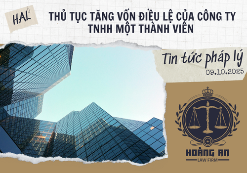Thủ Tục Tăng Vốn Điều Lệ Của Công Ty Tnhh Một Thành Viên
